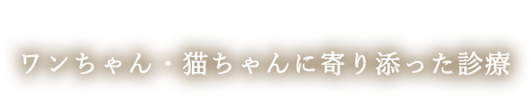 ワンちゃん・猫ちゃんに寄り添った診療